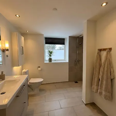 3-room With Free Parking And Terrace آلبورغ