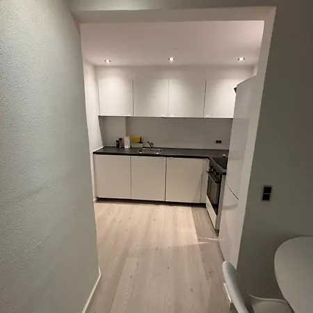 3-room With Free Parking And Terrace Apartman Aalbor